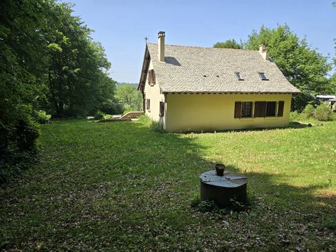 photo no. 19