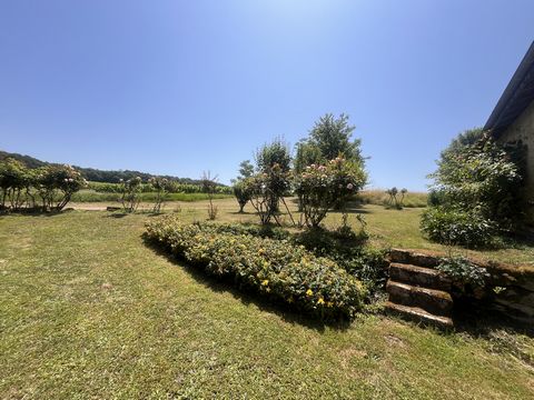 photo no. 7