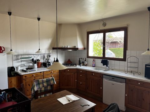 photo no. 13