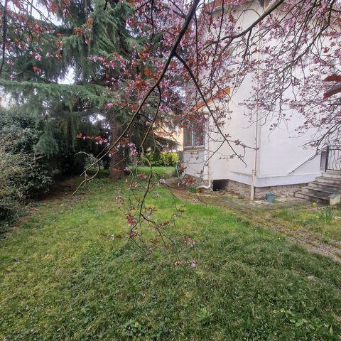 photo no. 11
