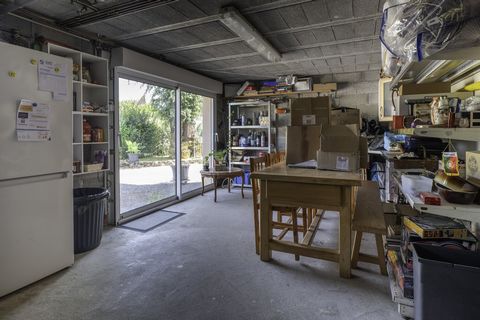 photo no. 11