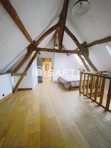 photo no. 11