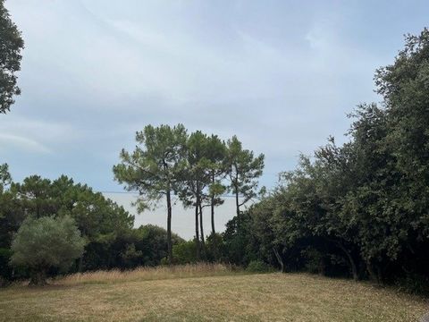 photo no. 18