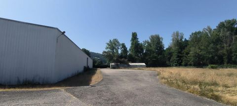 photo no. 6