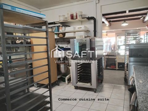 photo no. 15