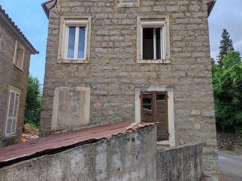 photo no. 1