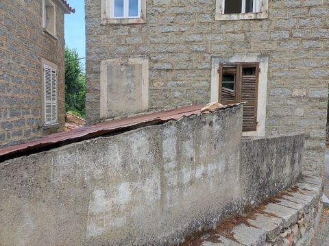photo no. 2