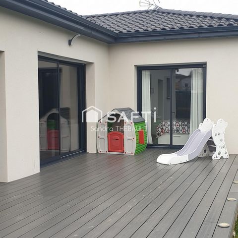 photo no. 12