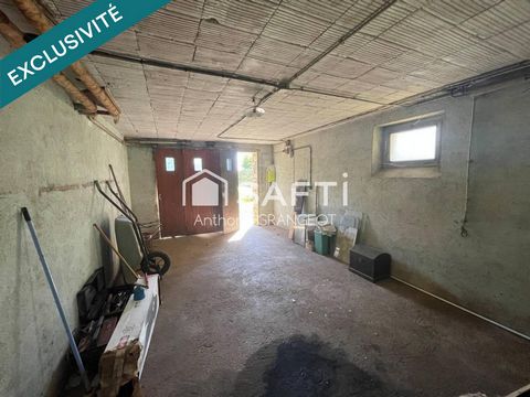 photo no. 10