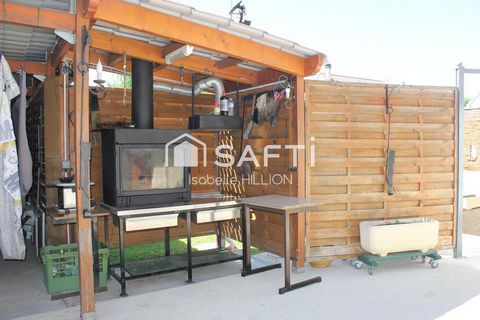 photo no. 12