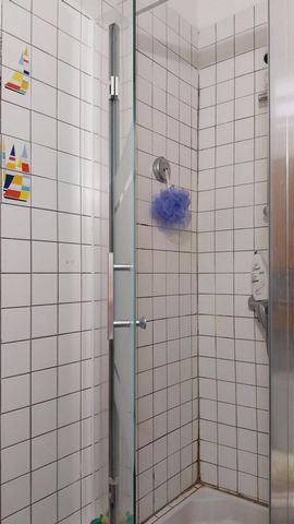photo no. 12