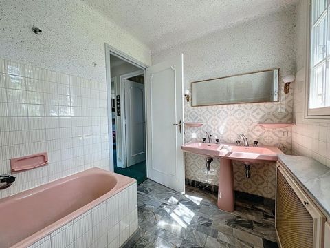 photo no. 10
