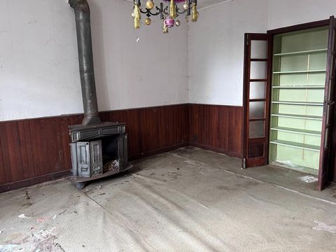photo no. 4