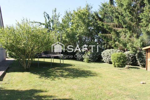 photo no. 11