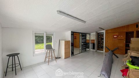 photo no. 10
