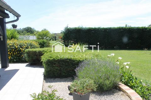 photo no. 17