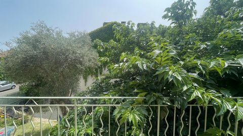photo no. 1