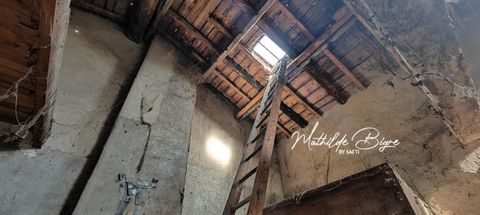 photo no. 9