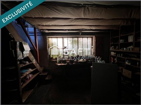 photo no. 18
