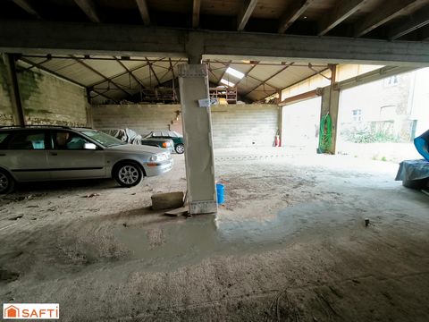 photo no. 9