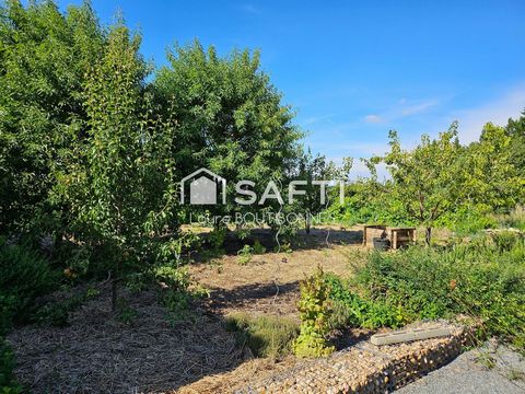 photo no. 13