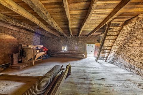 photo no. 16
