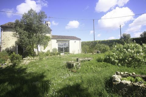 photo no. 13