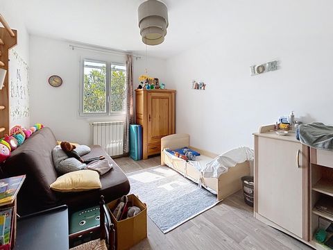 photo no. 12