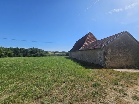 photo no. 14