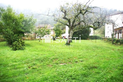 photo no. 5