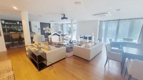 photo no. 11