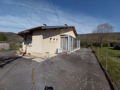photo no. 11