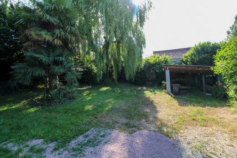 photo no. 15