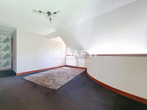 photo no. 11