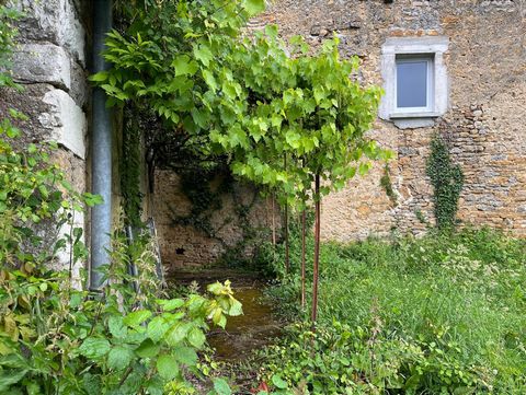 photo no. 2