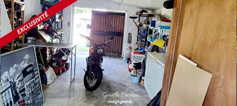 photo no. 12