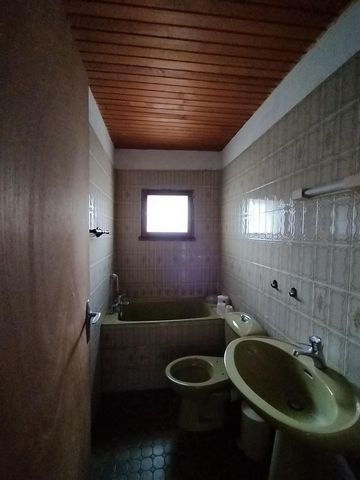 photo no. 9