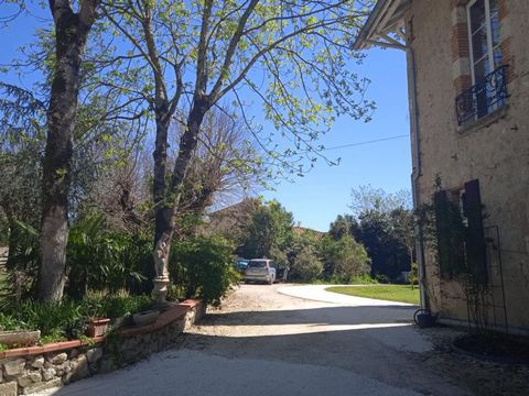photo no. 13