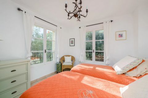 photo no. 13