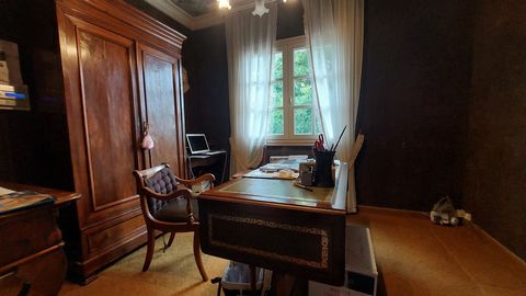 photo no. 2