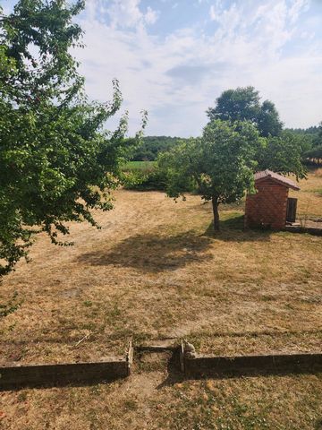 photo no. 18