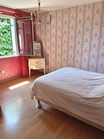photo no. 6