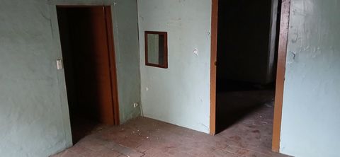 photo no. 5