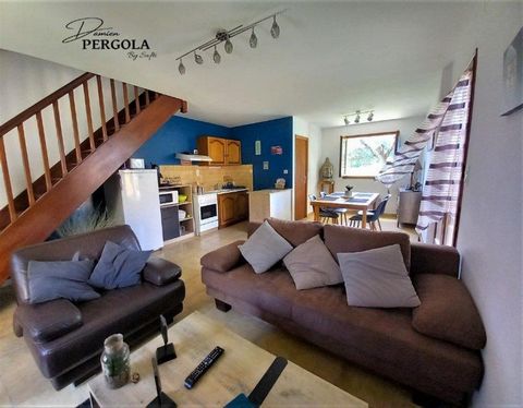 photo no. 12