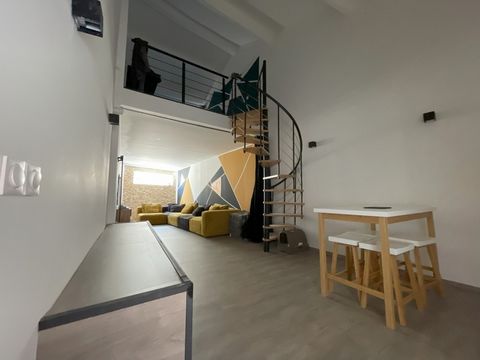 photo no. 1