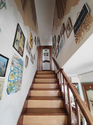 photo no. 6