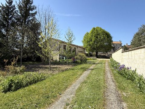 photo no. 19
