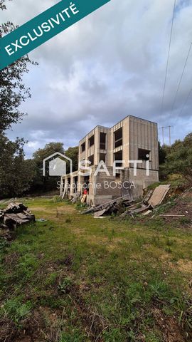 photo no. 16