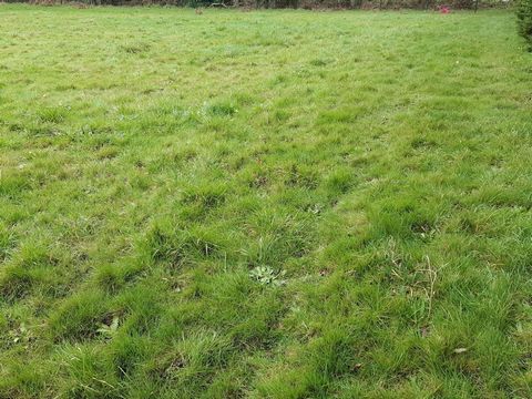 Terrain situé dans le centre de Saint-Hélène