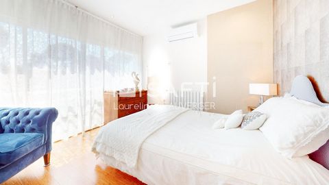 photo no. 12